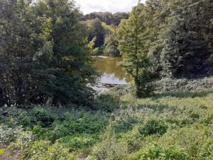 Groene parken Den Haag